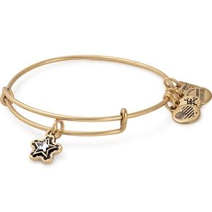 True Wish Alex and Ani Bangle